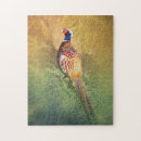 Recherche de faisans puzzles Nature
