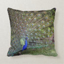 Recherche de plumage coussins Oiseau