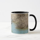 Recherche de bleue de héron tasses Nature