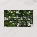 Recherche de jasmin cartes visite Floral