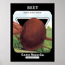 Recherche de betteraves posters Jardin