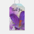 Recherche de crocus Violet