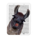 Recherche de llama magnets Amoureux des animaux