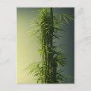 Recherche de bambou cartes postales Japonais