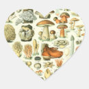 Zoek naar champignon stickers Botanisch