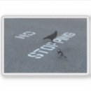 Zoek naar kraaien stickers Humor