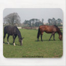 Recherche de goujon tapis souris Chevaux