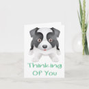 Recherche de border collie vœux cartes Chiot
