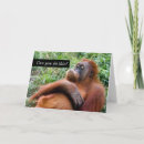 Recherche de orang outan vœux cartes Singe