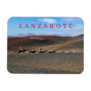 Recherche de les canaries magnets Travel