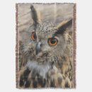 Recherche de hibou brun mignon Sauvage