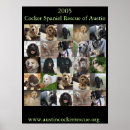 Recherche de cocker spaniel posters Chien