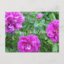 Recherche de fleurs roses cartes postales Pour elle