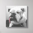Zoek naar gestileerde kunst Huisdieren