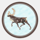 Recherche de reindeer autocollants Caribou