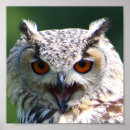 Recherche de eurasien posters Aigle