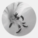 Recherche de b w autocollants Blanc