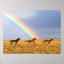 Recherche de chevaux galopants posters Sud ouest