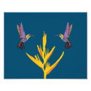 Recherche de oiseau jaune posters Botanique