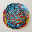 Zoek naar tropische vissen kussens Kust