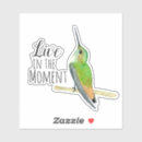 Recherche de alleen autocollants Colibri