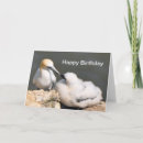 Recherche de poussin anniversaire anniversaire cartes Oiseau