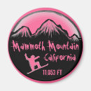 Recherche de mammouth magnets Californie
