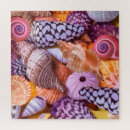 Recherche de coquillages tropicaux puzzles Nature