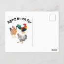 Recherche de poule bébé cartes postales Poulet