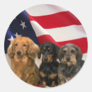 Recherche de teckels autocollants Doxie