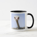 Recherche de autruche tasses Humour