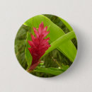 Recherche de gingembre badges Tropical