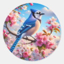 Recherche de jay autocollants Peinture