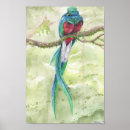 Recherche de mis en danger posters Oiseau