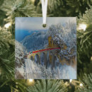 Recherche de verres ornements Neige