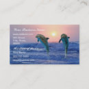 Recherche de dauphins cartes visite Aquatique