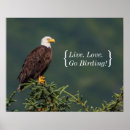 Zoek naar ornithologie posters Roofvogels