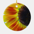 Zoek naar zonnebloem ornamenten Kleurrijk