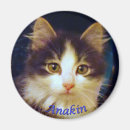 Recherche de jambes magnets Mignon