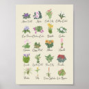 Recherche de plante verte posters Tendance