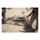 Recherche de cachette posters Jour