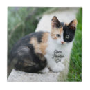 Recherche de humour animal carreaux Animal de compagnie