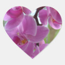 Zoek naar roze orchidee stickers Tuin