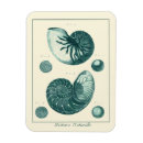 Recherche de sépia magnets Vie marine