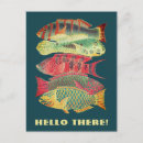 Recherche de poissons plats cartes postales Vintage