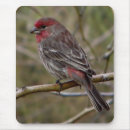 Recherche de aimant tapis souris Oiseau