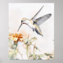 Recherche de de colibri art Oiseau