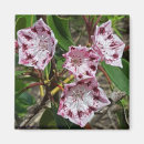 Recherche de fleurs de montagne magnets Rose