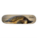 Recherche de hawaïen skateboards Île
