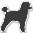Recherche de caniche électronique Dog